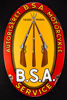 BSA Service
