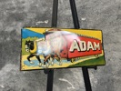 Adam