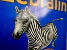 Zebralin Blikskilt