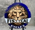 Fiscal Cycles