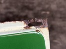 Carlsberg ØL Mineralvande grønt