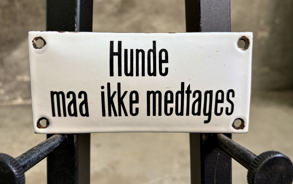 Hunde maa ikke medtages