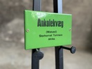 Zoologisk Have (5 stk)