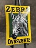 Zebra Ovnsværte