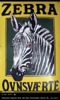 Zebra Ovnsværte