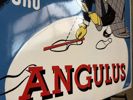 Angulus - Paa sporet af alletiders bedste sko